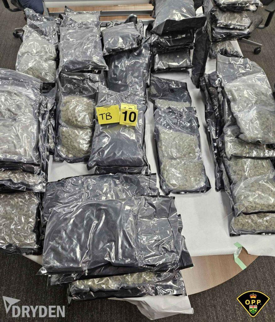 (照片:OPP) 装在袋子里的查获非法大麻的照片